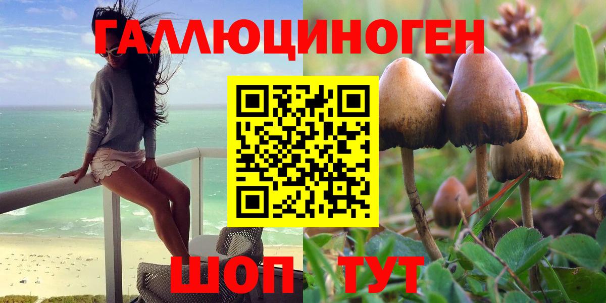 Псилоцибиновые грибы прущие грибы Балашов