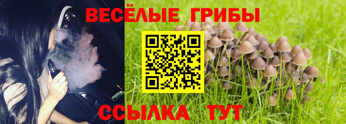 Псилоцибиновые грибы мухоморы  Балашов  Псилоцибиновые грибы мухоморы 