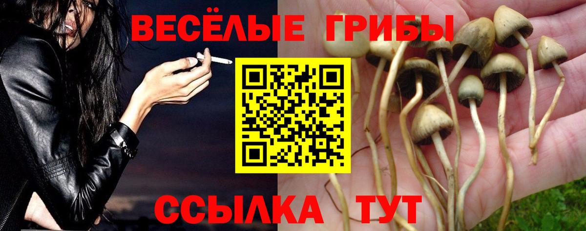 Псилоцибиновые грибы мухоморы Балашов