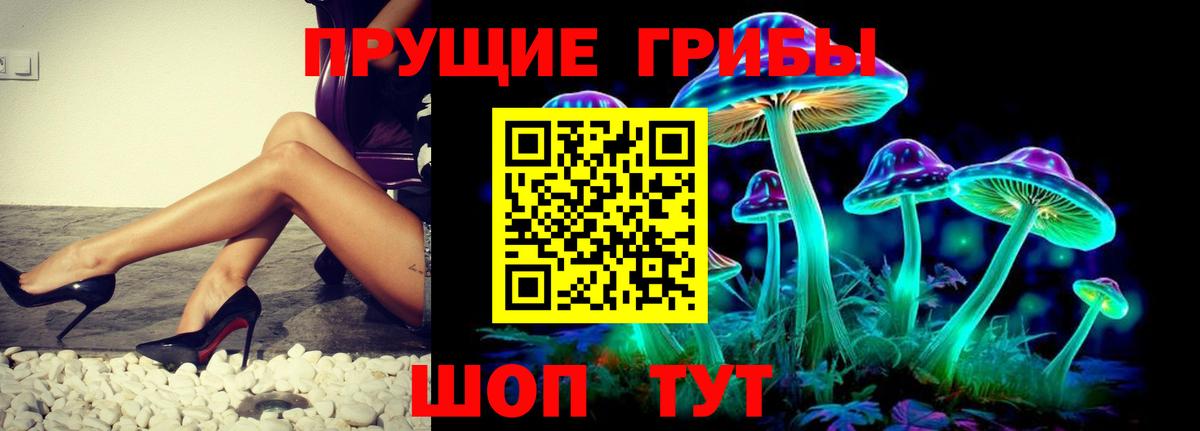 Балашов  Галлюциногенные грибы GOLDEN TEACHER  Вход с VPN  Псилоцибиновые грибы GOLDEN TEACHER 