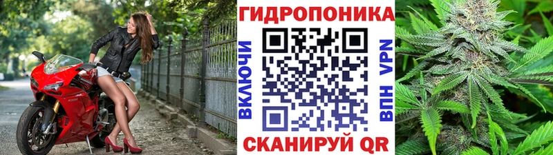 Бошки марихуана White Widow  блэк спрут как войти  Балашов 